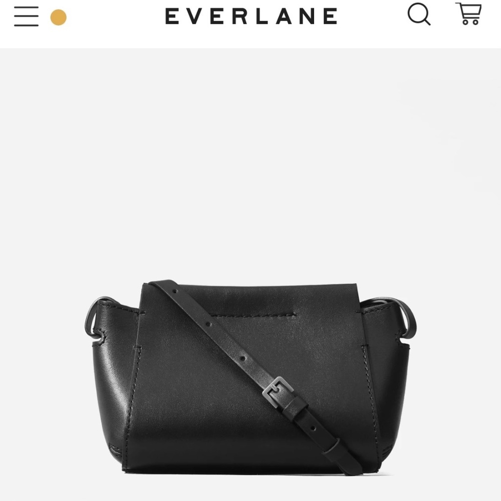 Everlane Micro Form bag